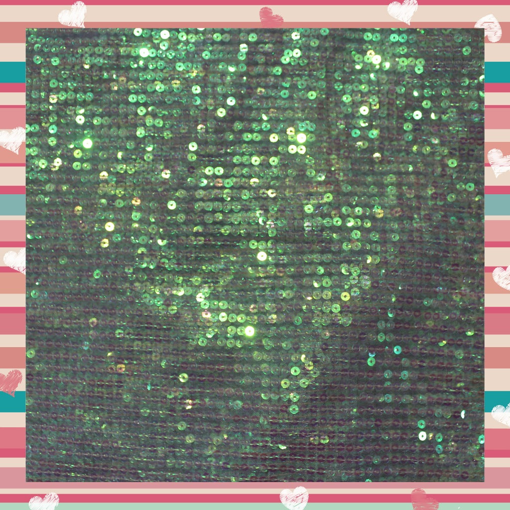 Lining Sequence Embroidery On Net