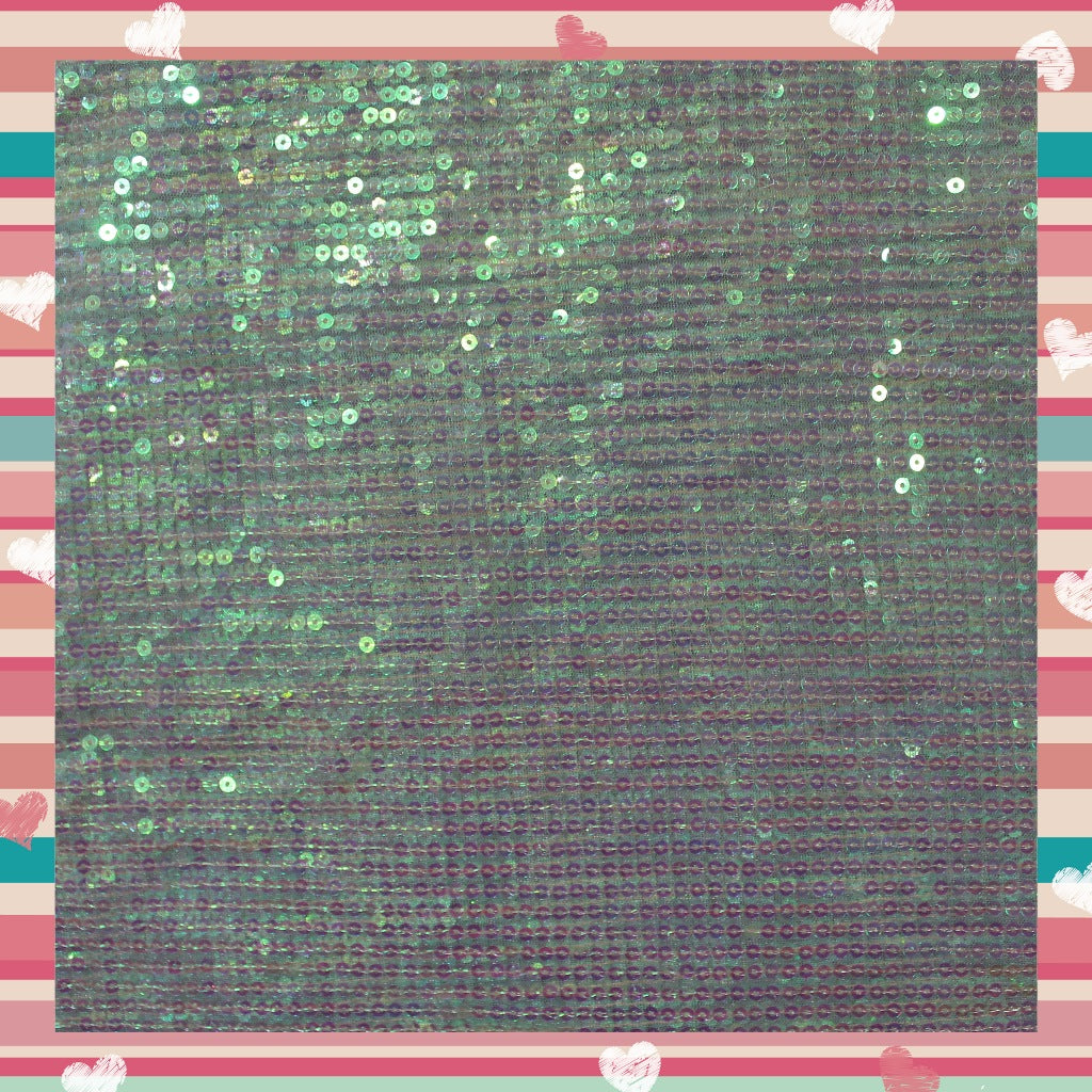 Lining Sequence Embroidery On Net