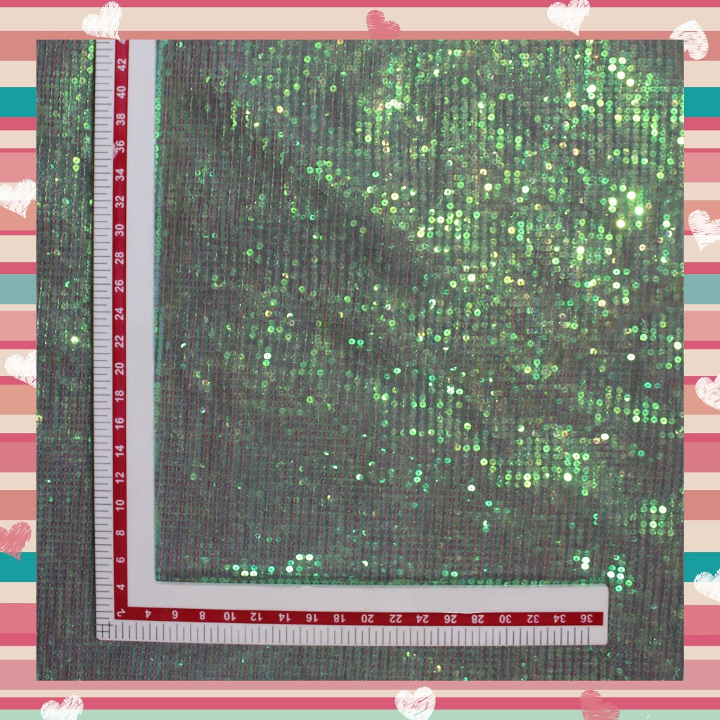 Lining Sequence Embroidery On Net