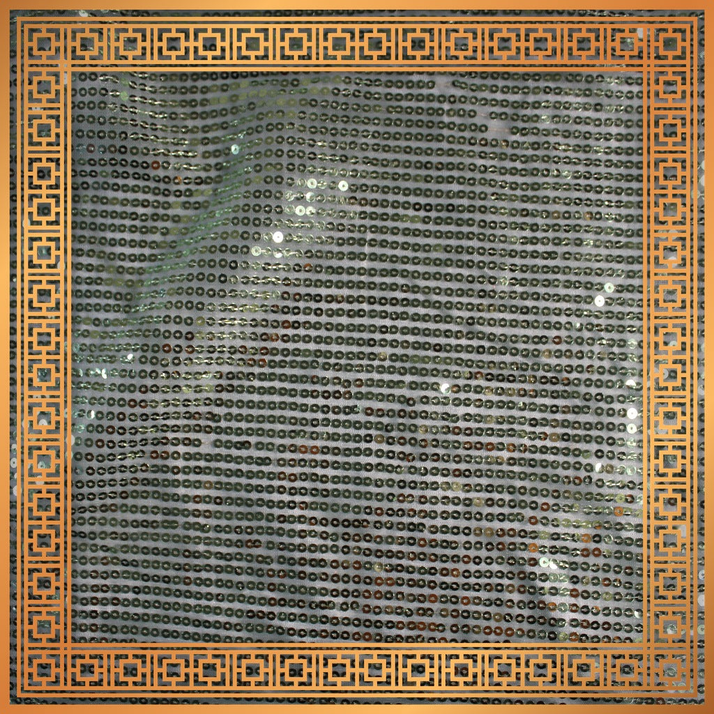 Lining Sequence Embroidery On Net