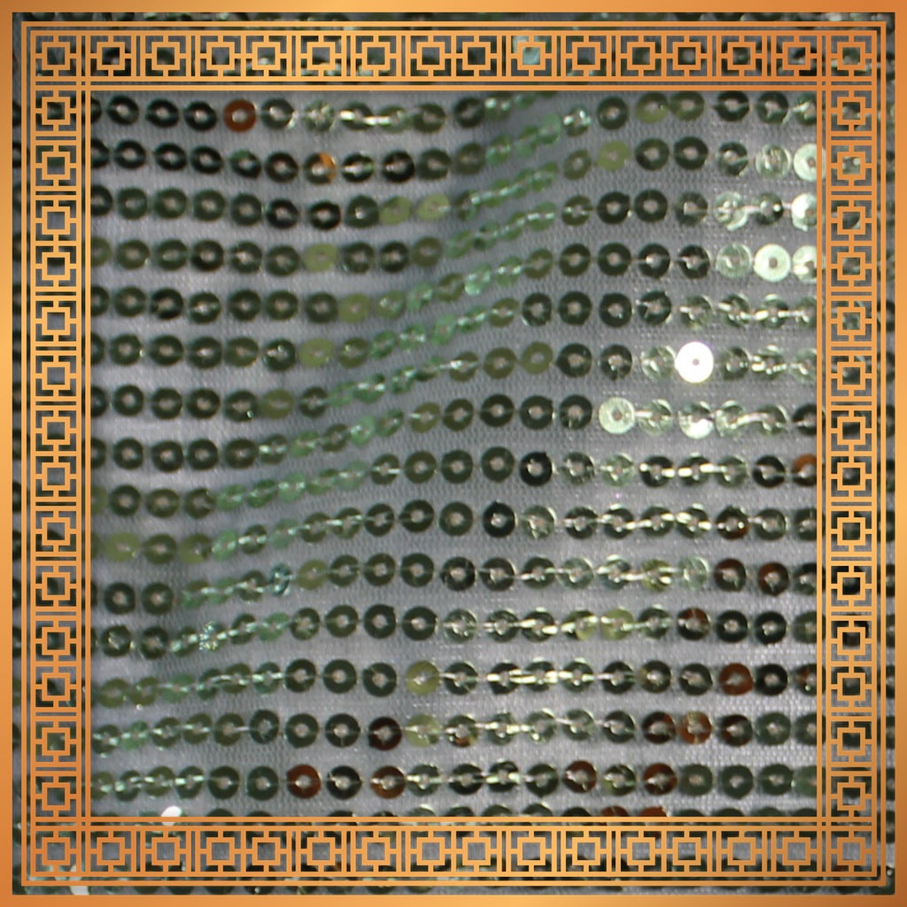 Lining Sequence Embroidery On Net