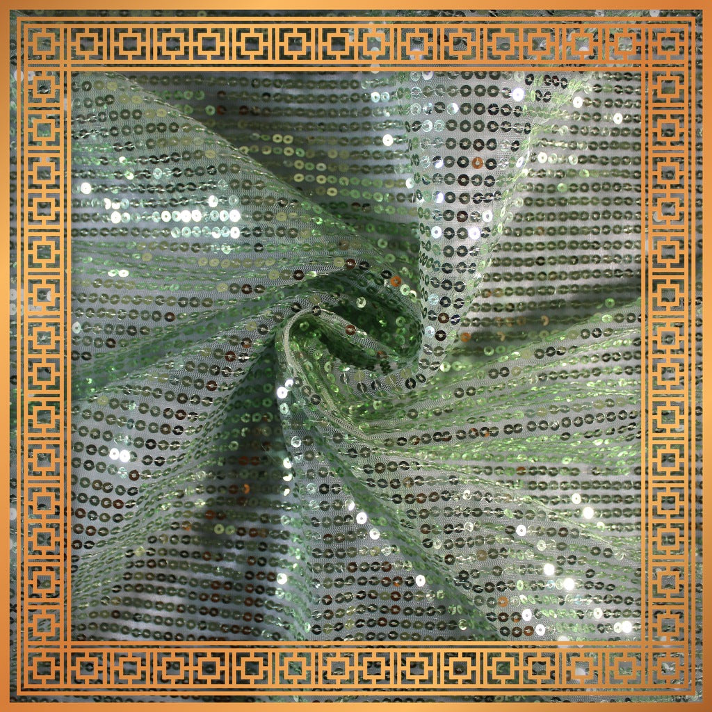 Lining Sequence Embroidery On Net