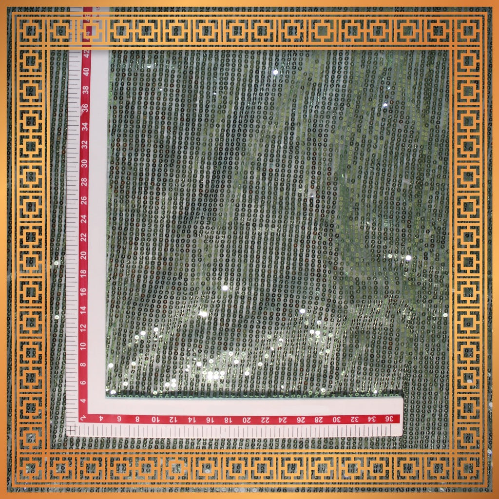 Lining Sequence Embroidery On Net