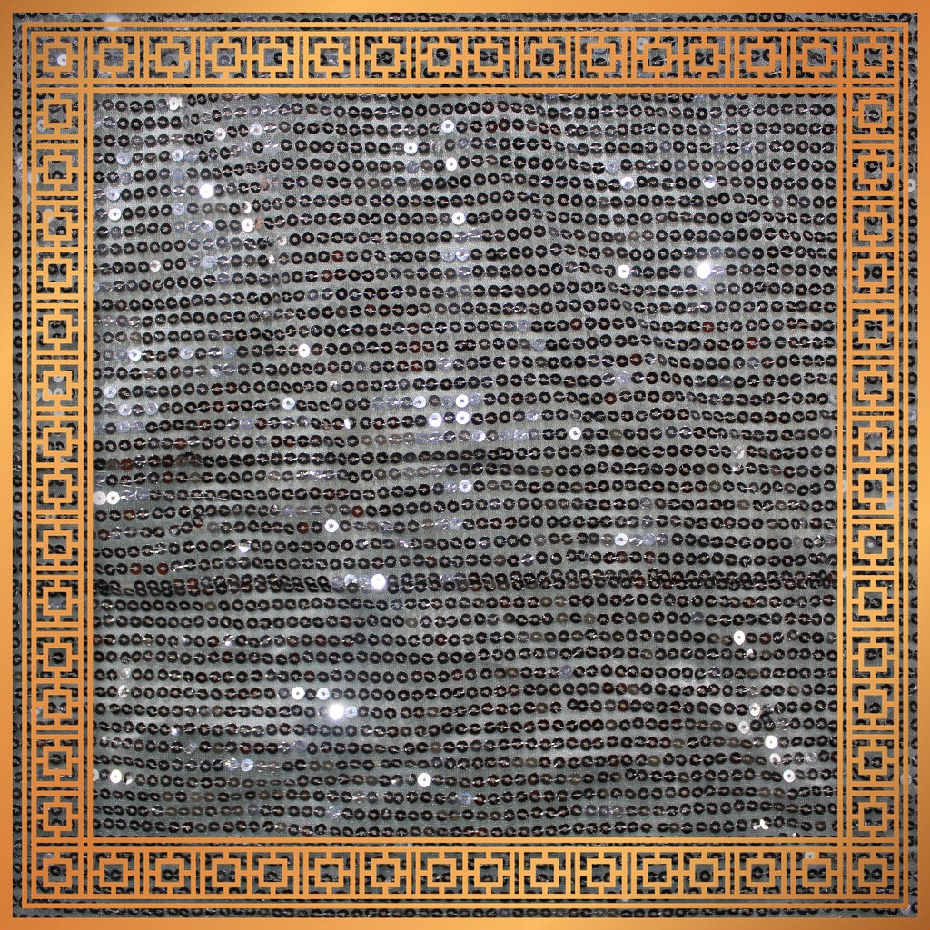 Lining Sequence Embroidery On Net