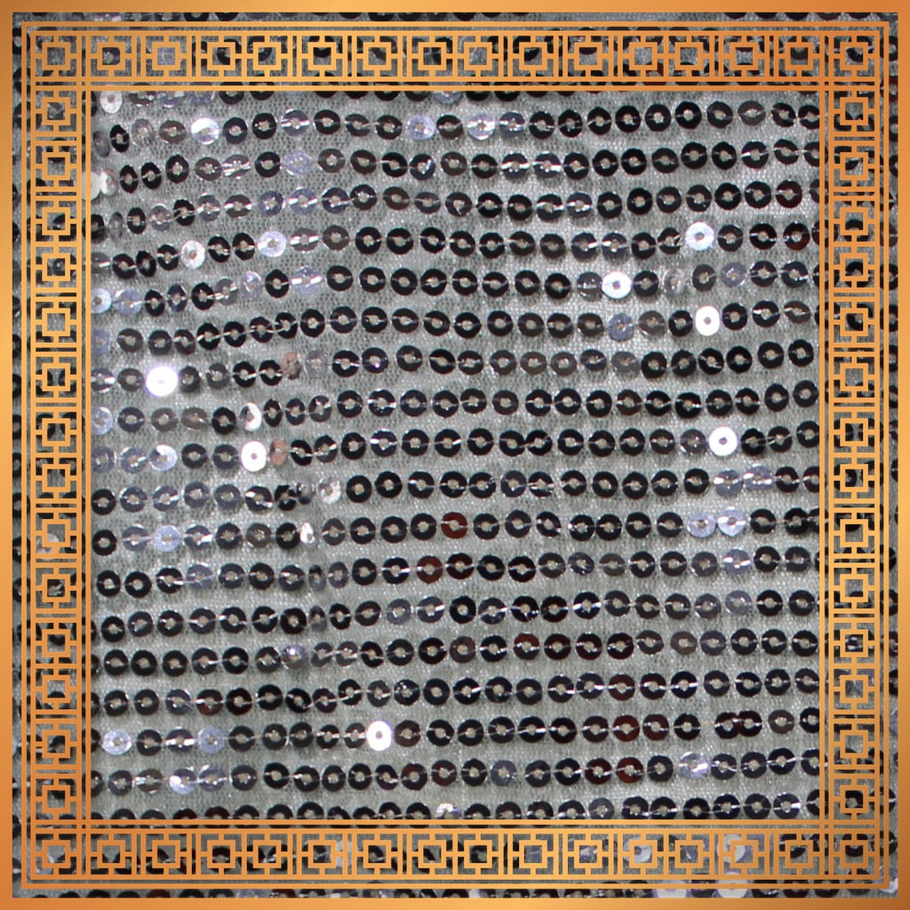 Lining Sequence Embroidery On Net