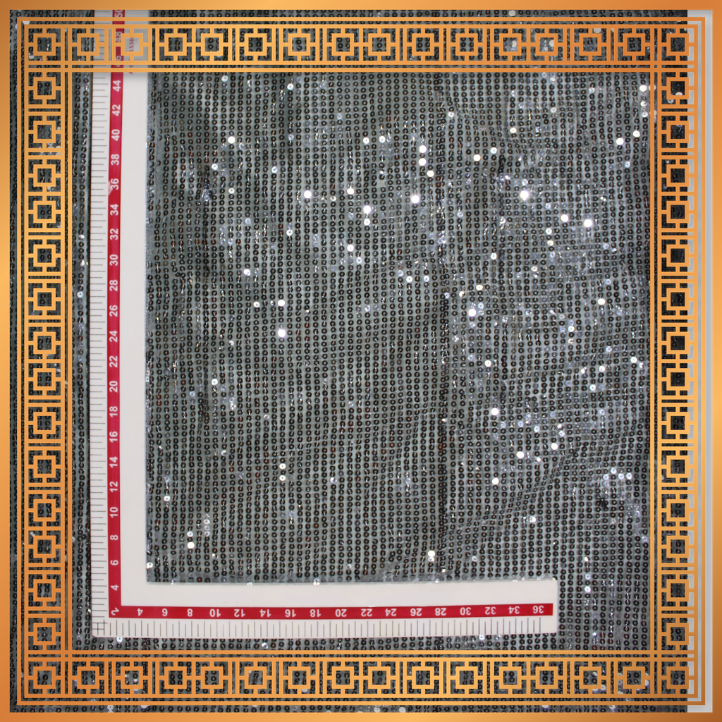Lining Sequence Embroidery On Net
