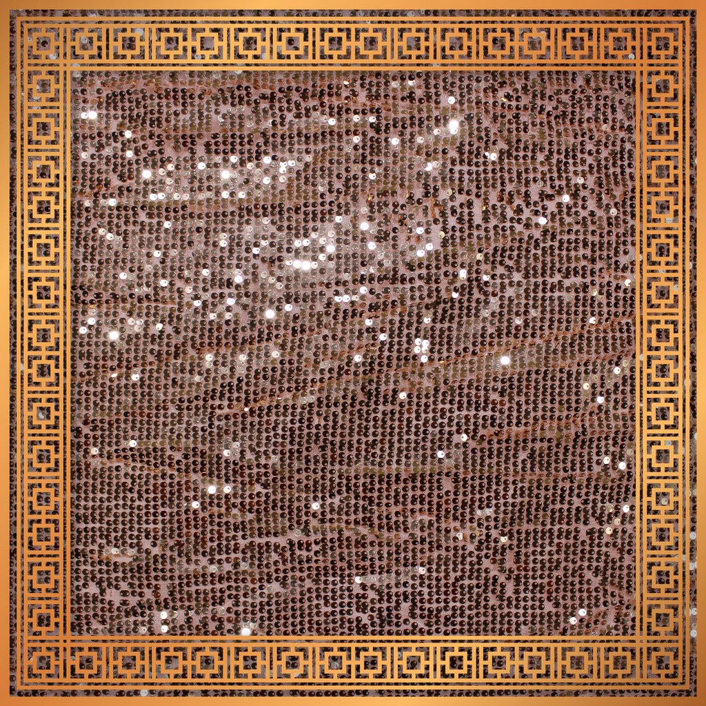 Lining Sequence Embroidery On Net