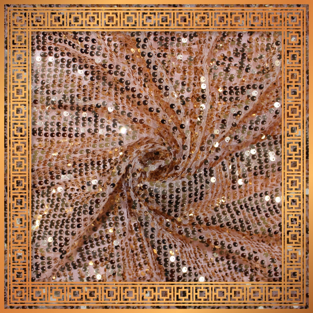 Lining Sequence Embroidery On Net