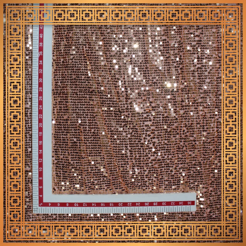 Lining Sequence Embroidery On Net