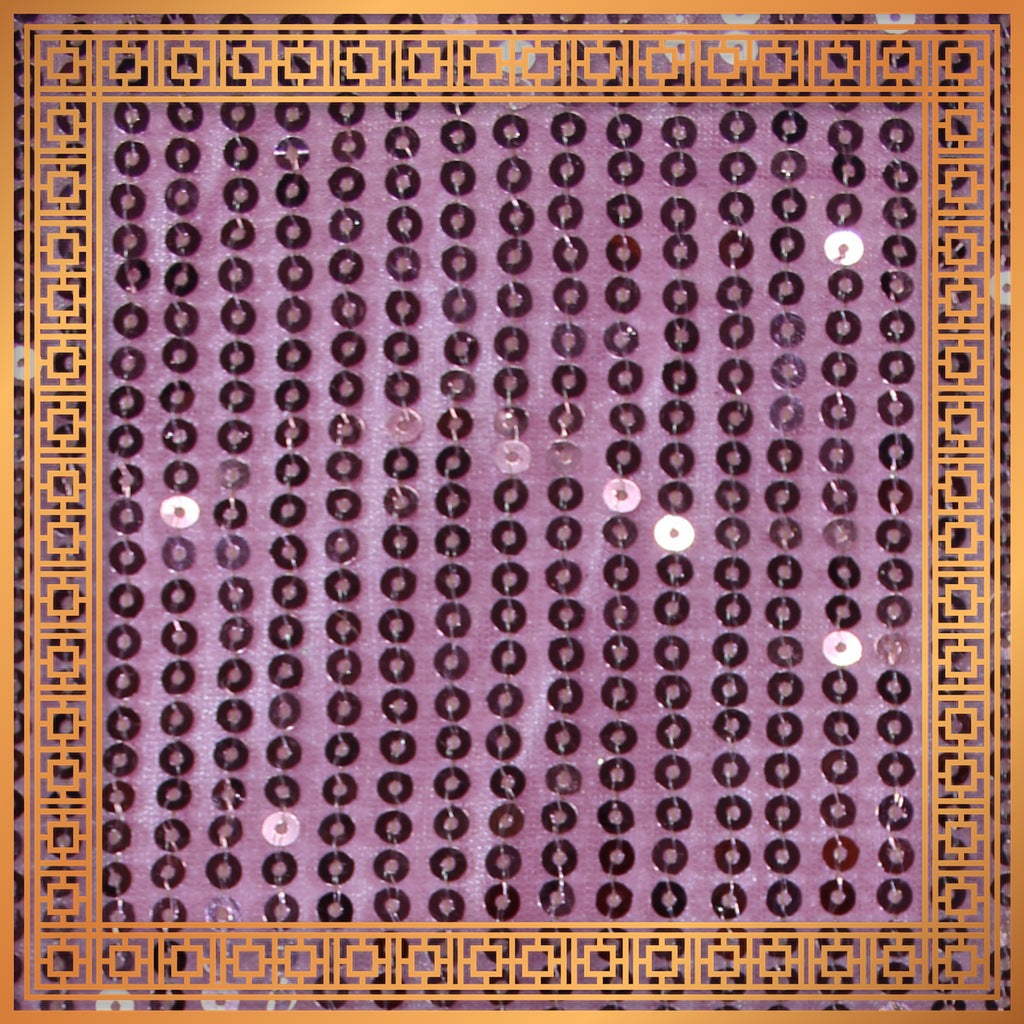 Lining Sequence Embroidery On Net