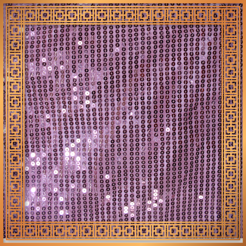 Lining Sequence Embroidery On Net