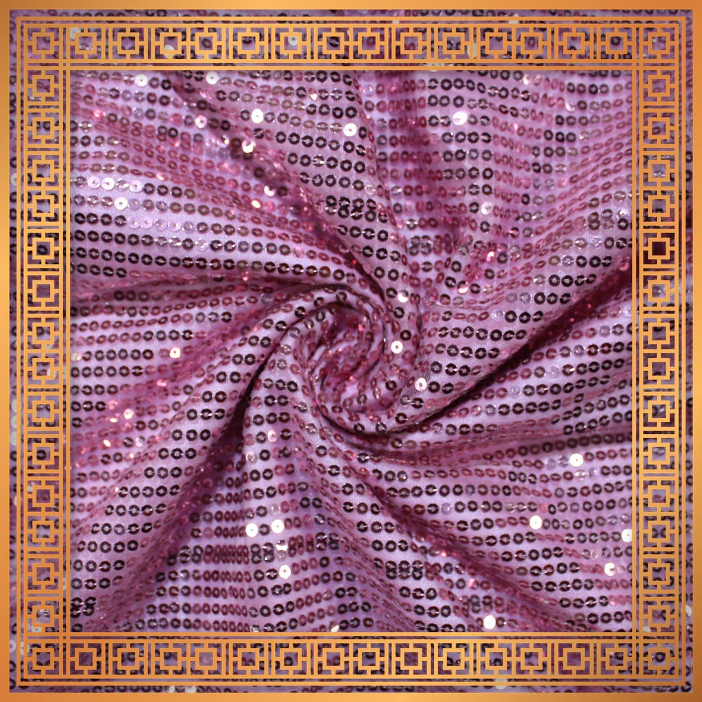 Lining Sequence Embroidery On Net