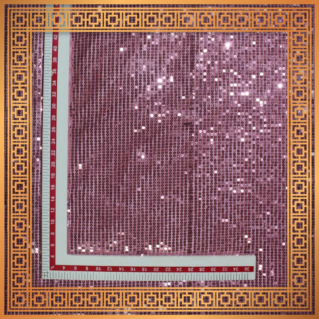 Lining Sequence Embroidery On Net