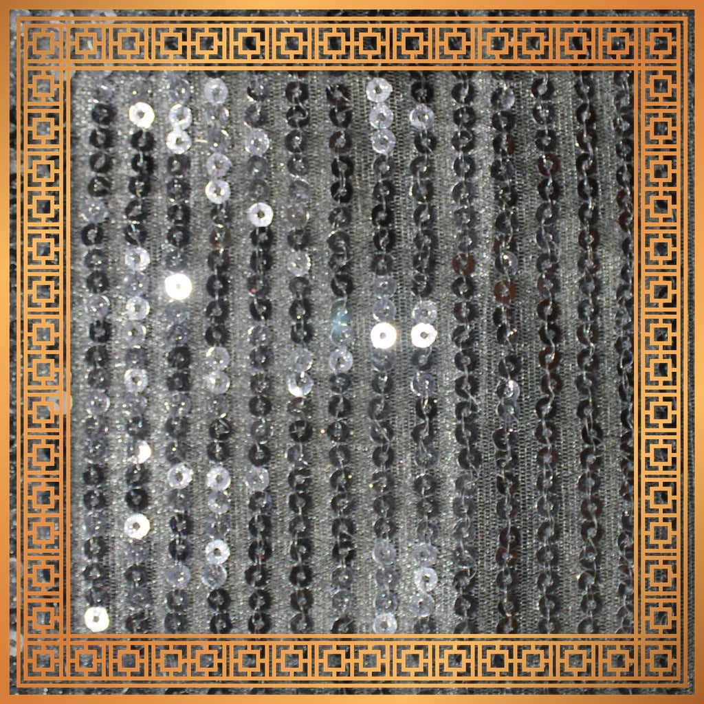Lining Sequence Embroidery On Net