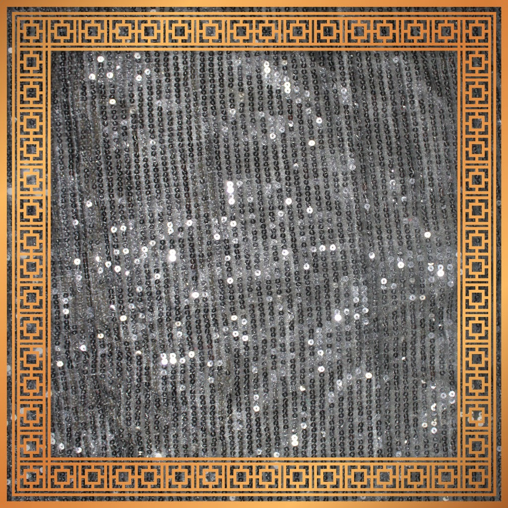 Lining Sequence Embroidery On Net