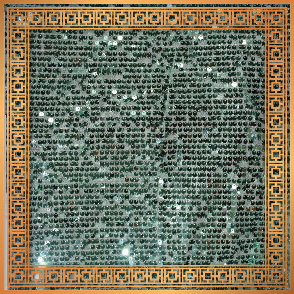 Lining Sequence Embroidery On Net
