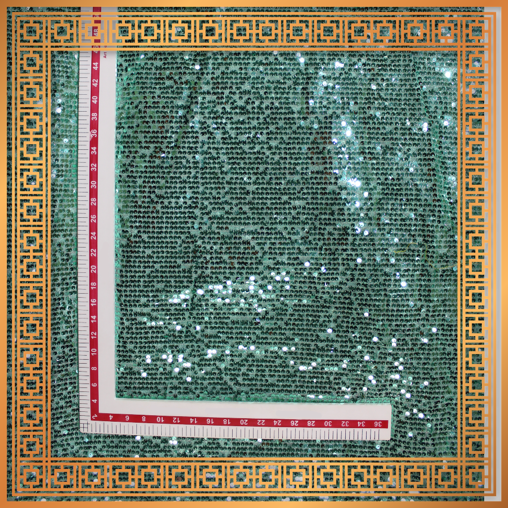 Lining Sequence Embroidery On Net