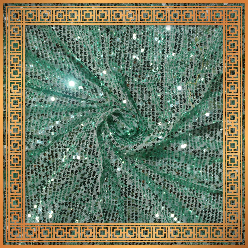 Lining Sequence Embroidery On Net