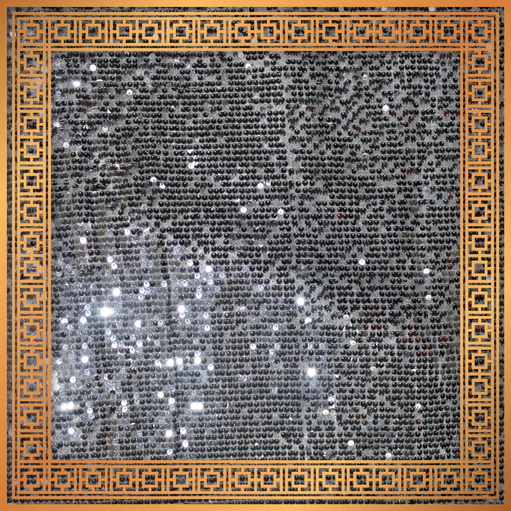 Lining Sequence Embroidery On Net