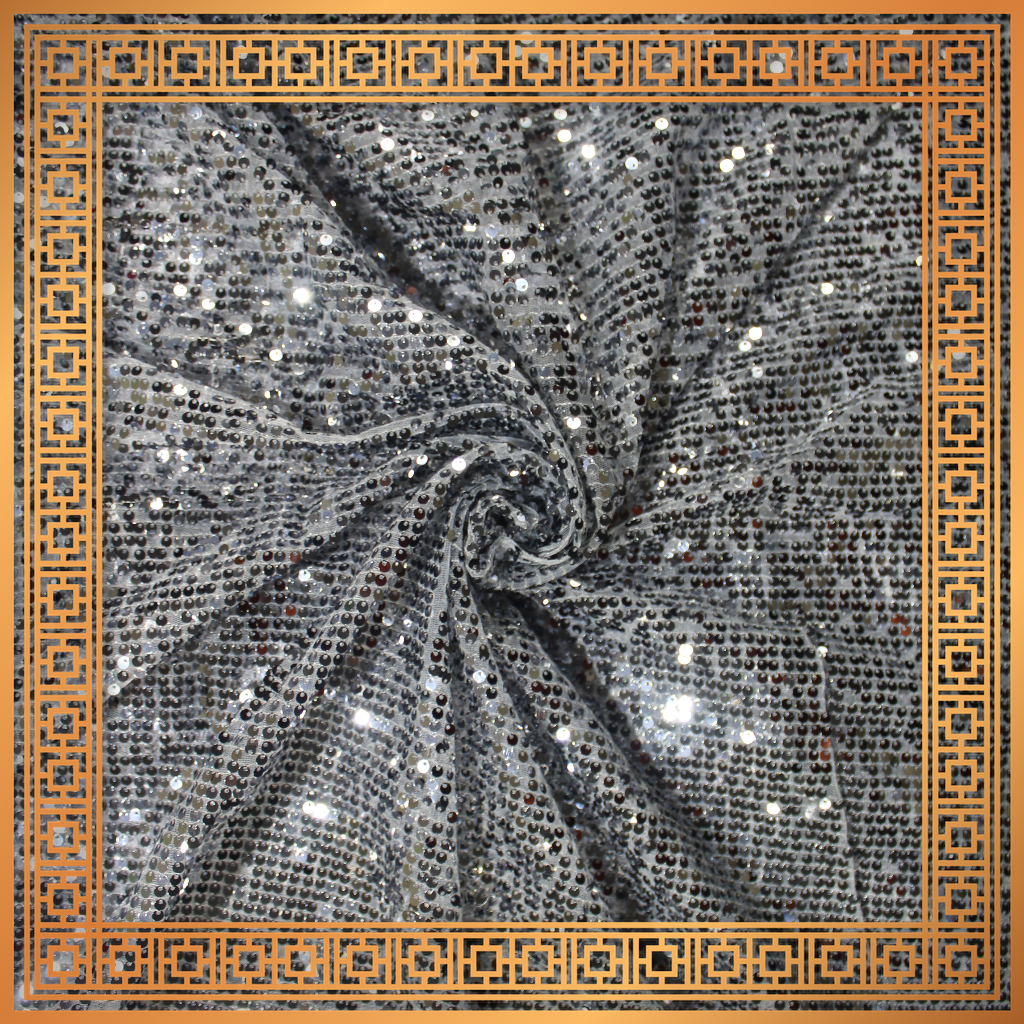Lining Sequence Embroidery On Net