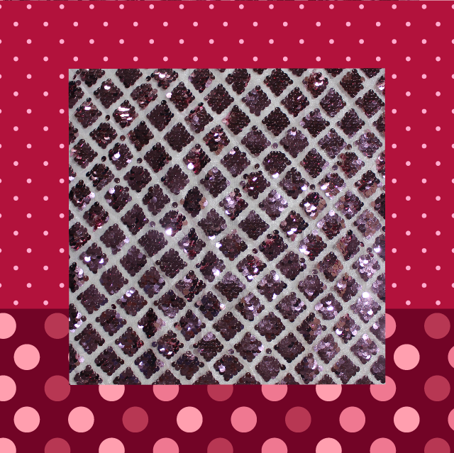 Heavy Glitter Sequence Embroidery On Net