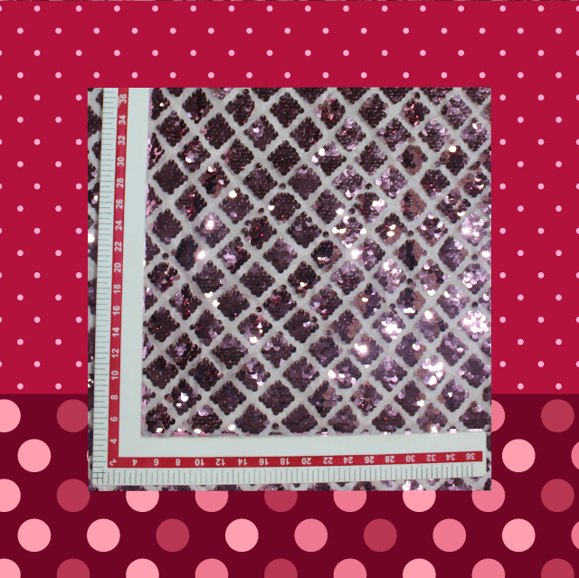 Heavy Glitter Sequence Embroidery On Net