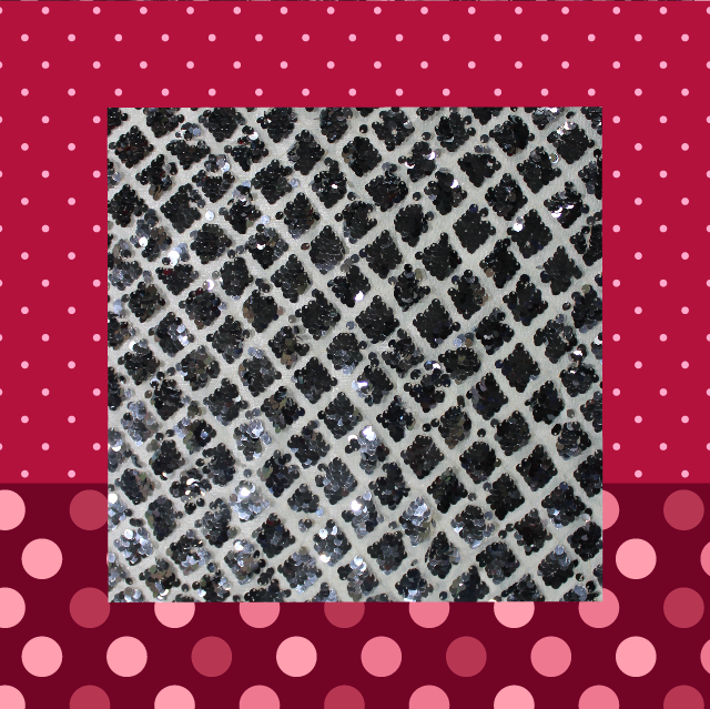 Heavy Glitter Sequence Embroidery On Net