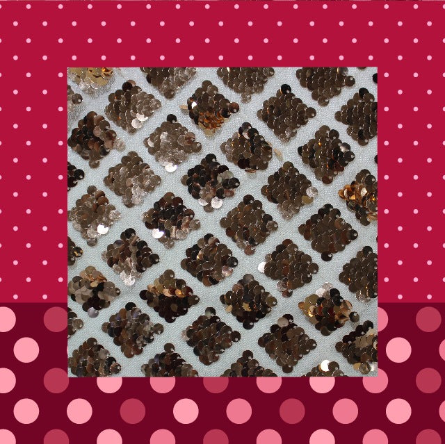 Heavy Glitter Sequence Embroidery On Net