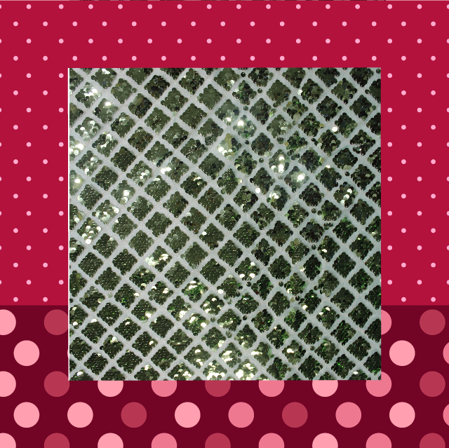 Heavy Glitter Sequence Embroidery On Net
