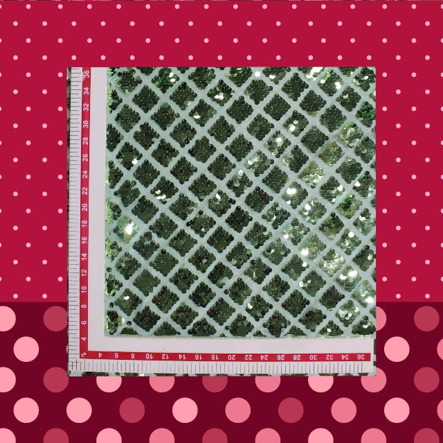 Heavy Glitter Sequence Embroidery On Net