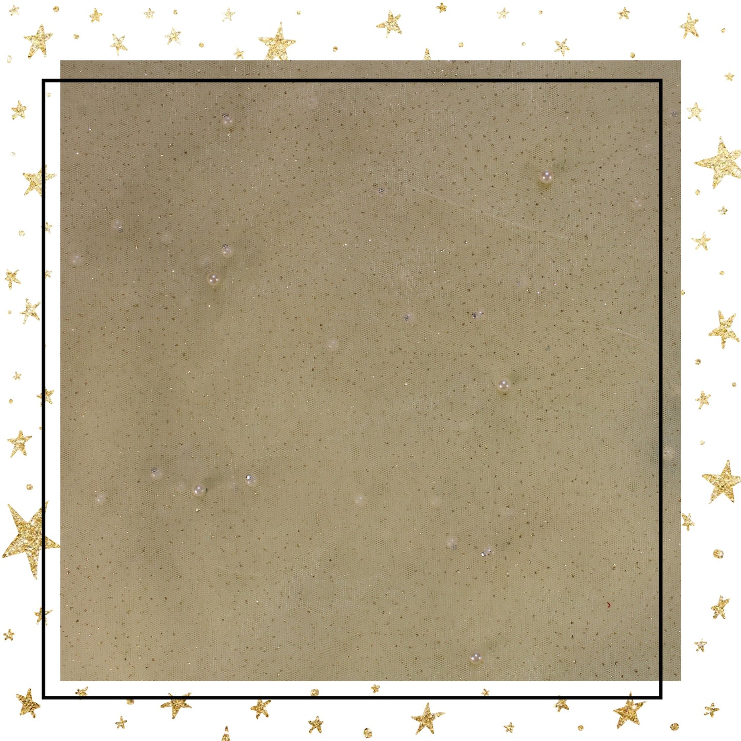 Glitter With Moti On Net
