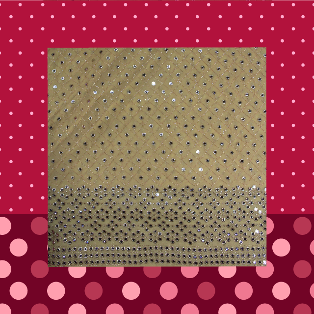 Sequence Zari Work Embroidery On Georgette