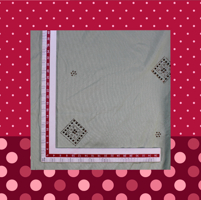 Swaroski Work On Slub Silk
