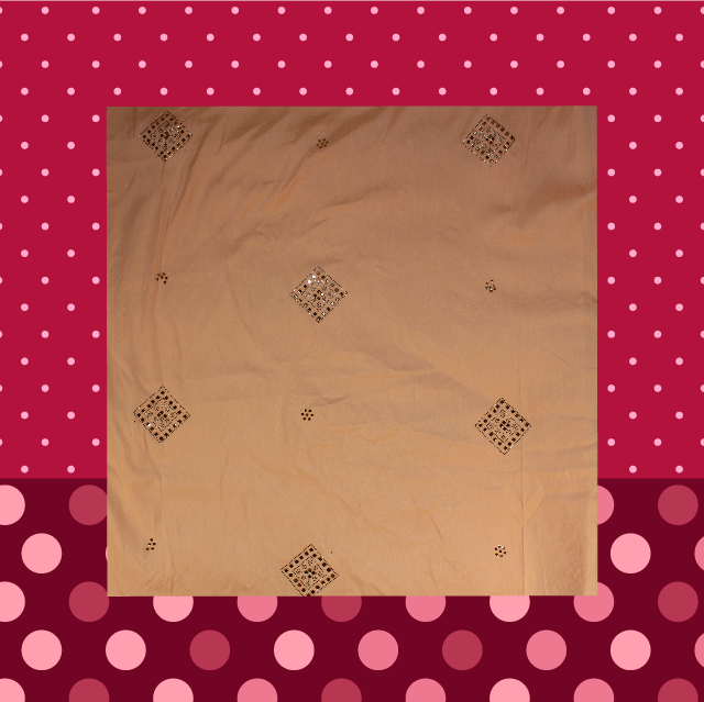Swaroski Work On Slub Silk