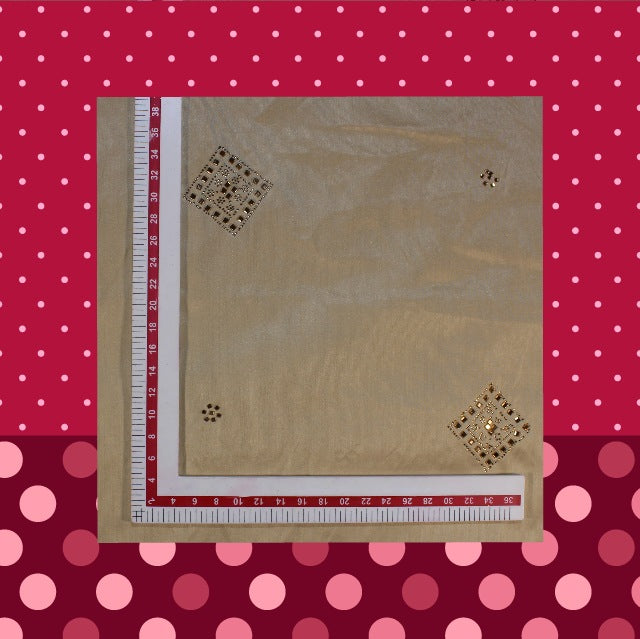 Swaroski Work On Slub Silk