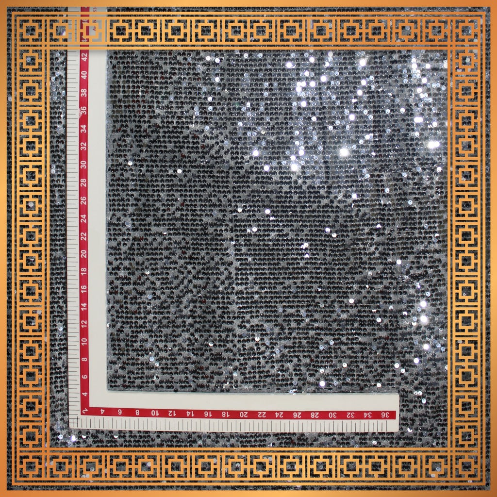Lining Sequence Embroidery On Net